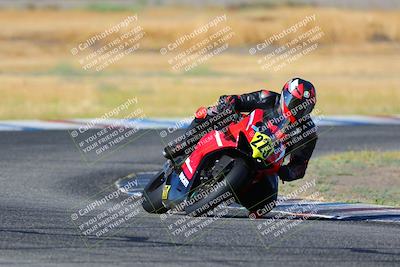 media/Aug-13-2023-CRA (Sun) [[1cfc37a6fb]]/Race 2 1000 Superbike/Race/